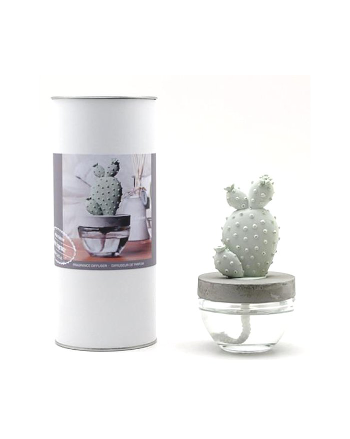Pretty Valley USA Cactus Diffuser