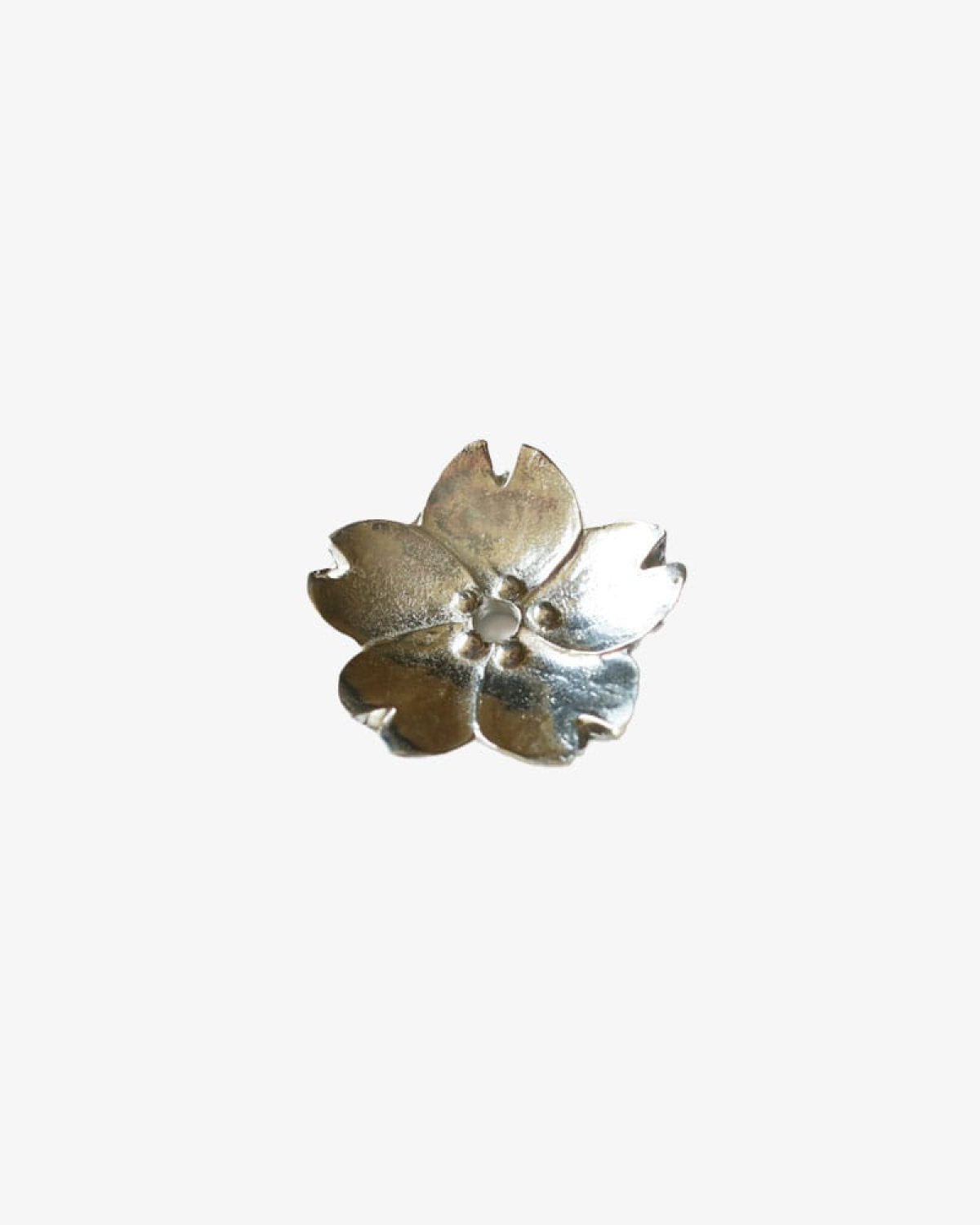 wp-image28075954110561.png